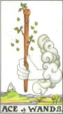 Stavenes ess - Ace of Wands